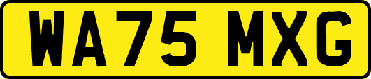 WA75MXG