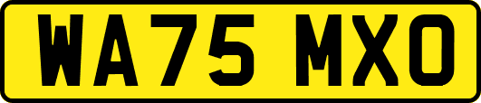 WA75MXO