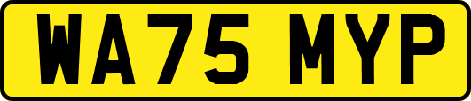WA75MYP