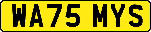 WA75MYS
