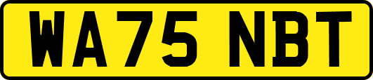 WA75NBT