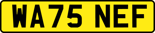 WA75NEF