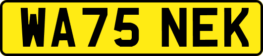 WA75NEK