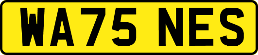 WA75NES