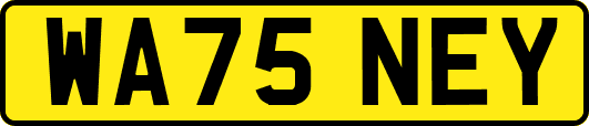 WA75NEY