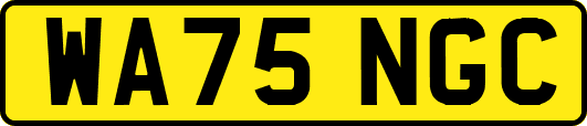 WA75NGC