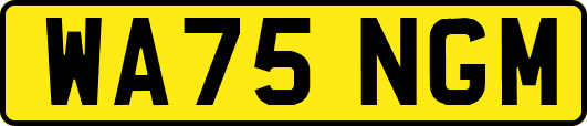 WA75NGM