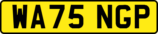 WA75NGP