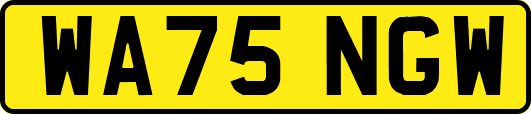 WA75NGW