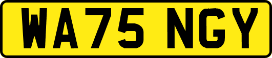 WA75NGY