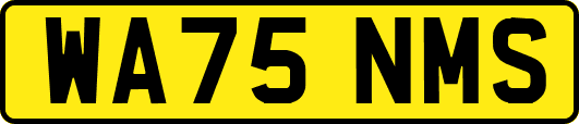 WA75NMS