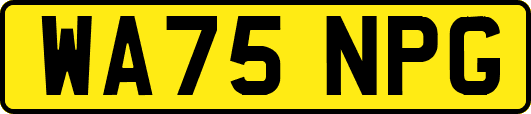 WA75NPG