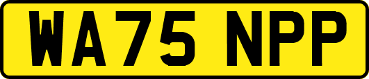 WA75NPP