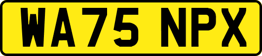 WA75NPX