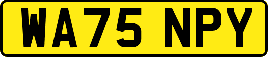 WA75NPY