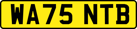 WA75NTB