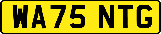 WA75NTG