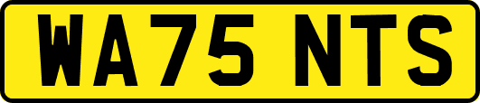 WA75NTS
