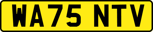 WA75NTV