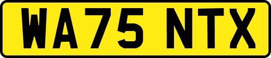 WA75NTX