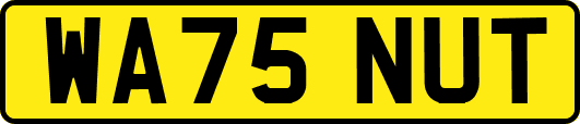 WA75NUT