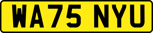WA75NYU