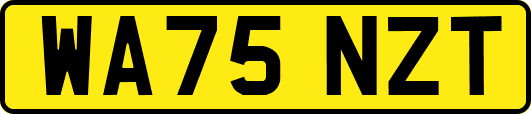 WA75NZT