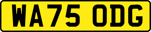 WA75ODG