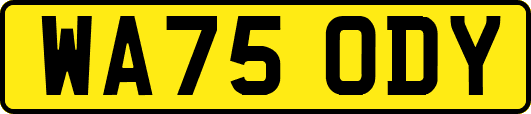 WA75ODY