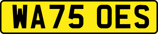 WA75OES