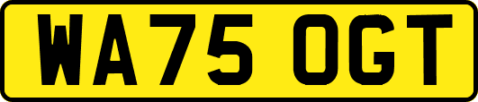 WA75OGT