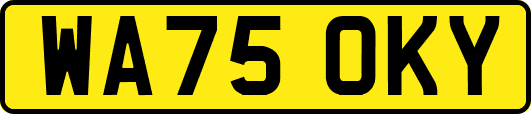 WA75OKY