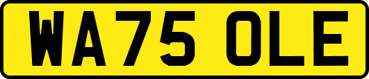 WA75OLE