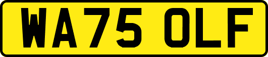 WA75OLF