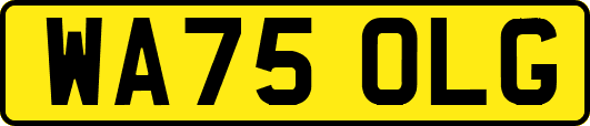 WA75OLG