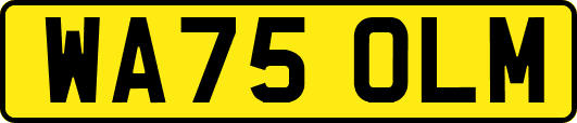 WA75OLM