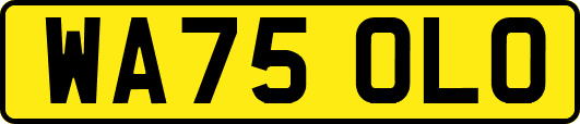WA75OLO