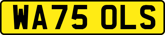 WA75OLS