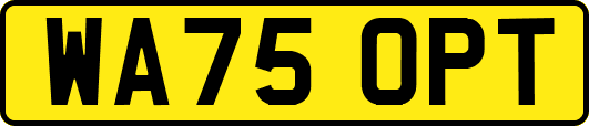 WA75OPT