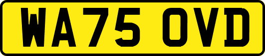WA75OVD