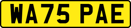WA75PAE