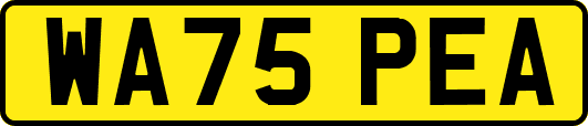 WA75PEA