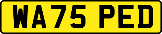 WA75PED