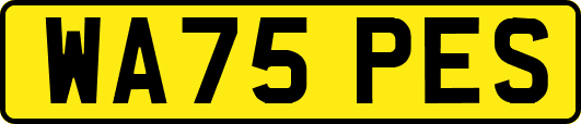 WA75PES