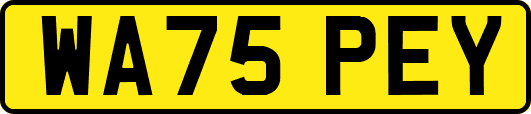 WA75PEY
