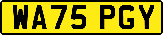 WA75PGY
