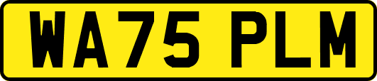 WA75PLM