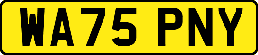WA75PNY