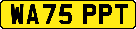 WA75PPT
