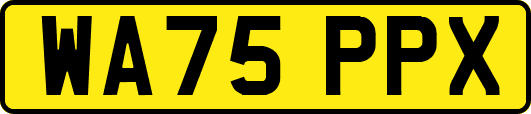 WA75PPX